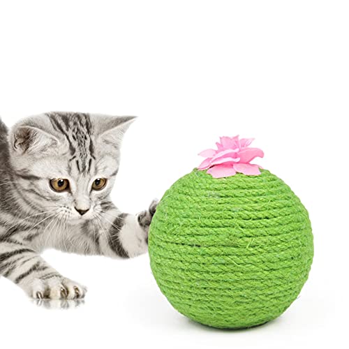 Petyoung Katze Scratcher Spielzeug Kaktus Tumbler Sisal Scratcher Ball mit Katzenminze für Kleine Medium Große Kätzchen Katze von Petyoung
