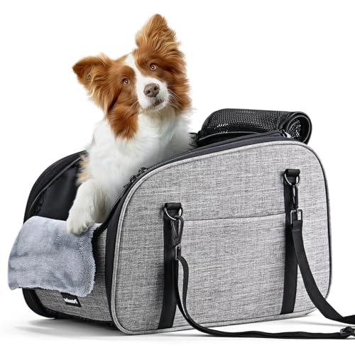 Petzauber Hundeautositz für Kleine Hunde – Hunde Autositz für Mittelkonsole, Tragbarer Hundesitz mit Doppeltem Sicherheitsgurt und Rutschfester Unterseite, Waschbarem Kissen, Lagerungstasche, Grau Petzauber Hundeautositz für Kleine Hunde – Hunde Autositz für Mittelkonsole, Tragbarer Hundesitz mit Doppeltem Sicherheitsgurt und Rutschfester Unterseite, Waschbarem Kissen, Lagerungstasche, Grau von Petzauber