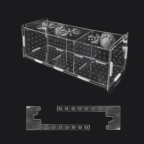 Anemone Box Fisch Züchter, Ablaichkasten Aquarium, Laichkasten für Aquarium mit Saugnäpfen, Acryl Fischzuchtbox, Hochtransparente Fischbecken für Zucht, Isolierung und Fütterung Anemone Box Fisch Züchter, Ablaichkasten Aquarium, Laichkasten für Aquarium mit Saugnäpfen, Acryl Fischzuchtbox, Hochtransparente Fischbecken für Zucht, Isolierung und Fütterung von Peufcmi