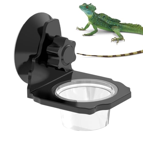 Peufcmi Gecko Futterspender - Gecko-Wasserschale,Futterhalter Mit Saugnapf, Terrariumnapf Für Echsen, Schildkröten & Chamäleons, Beckenzubehör Peufcmi Gecko Futterspender - Gecko-Wasserschale,Futterhalter Mit Saugnapf, Terrariumnapf Für Echsen, Schildkröten & Chamäleons, Beckenzubehör von Peufcmi