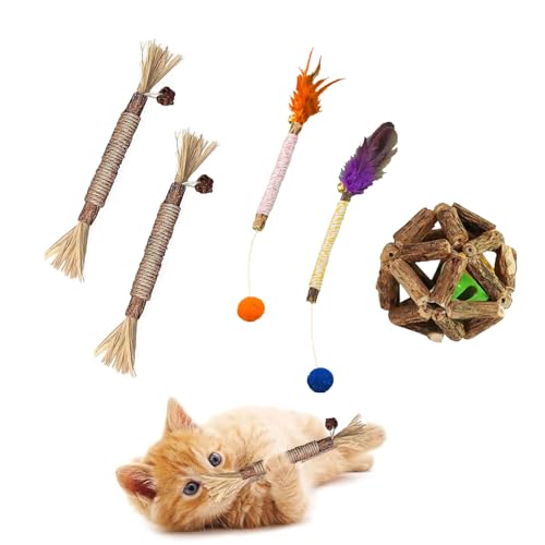 5 Stück Katzenminze Sticks, Matatabi Stick Katze, Katzenminze Sticks Holz, Kaustangen Katze, Bissfestes, Zahnpflegespielzeug, Geeignet Für Die Zahnpflege Von Katzen Und Zur Vorbeugung Von Mundgeruch von Peuirre