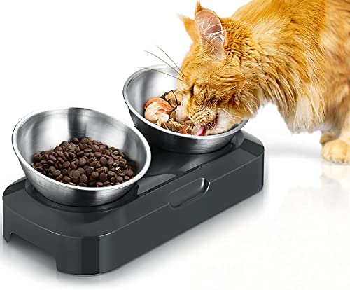 PewinGo Katzennapf-15°Kipphals-Schutzschale Edelstahl Lebensmittelqualität, Maschinenwaschbar,rutschfeste Silikonbasis,für Haustiere Katzen und Welpen von PewinGo