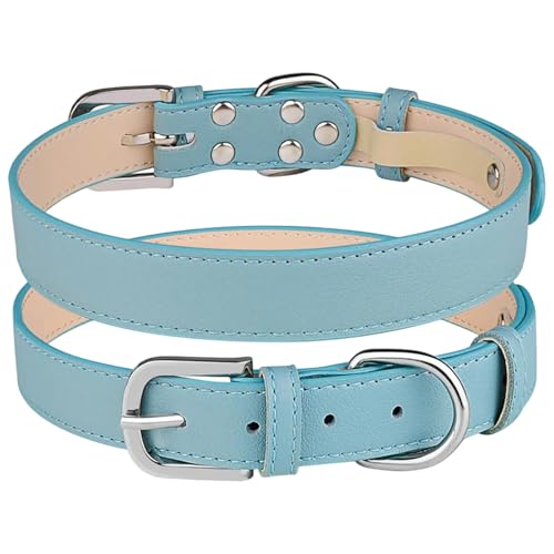 Hundehalsband aus Leder, verstellbar, weiches Leder, gepolstert, gerolltes Hundehalsband für kleine, mittelgroße Hunde, Welpen (Hellblau, Größe S, 22 - 29,5 cm) von Peysaitr