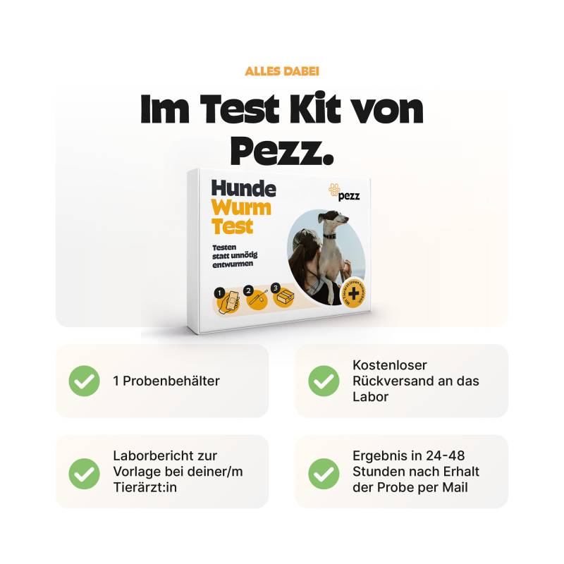 Pezz Standard Wurmtest Hund - 1 Stück Pezz Standard Wurmtest Hund - 1 Stück von Pezz
