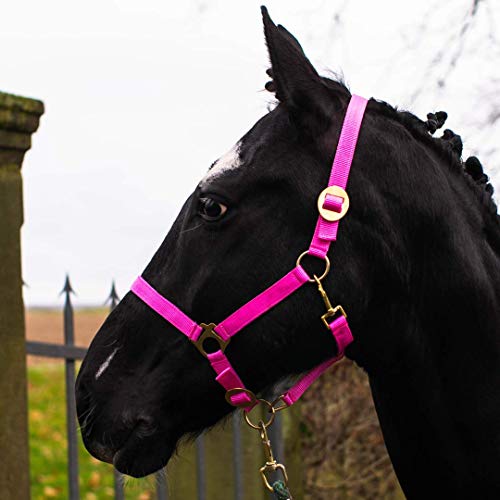 Halfter für Pferd Warmblut, Vollblut, Kaltblut – Stallhalfter, Weidehalfter, 2 Fach verstellbar an Kinnriemen und Genickstück, sicher & reißfest (Pink, Kaltblut) von Pferdelinis