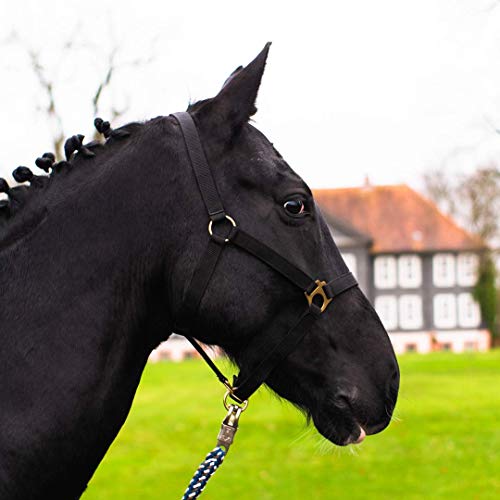 Halfter für Pferd Warmblut, Vollblut, Kaltblut – Stallhalfter, Weidehalfter, 2 Fach verstellbar an Kinnriemen und Genickstück, sicher & reißfest (Schwarz, Pony) von Pferdelinis