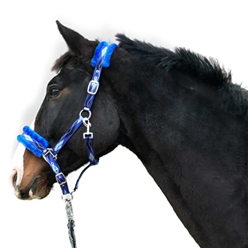 Halfter für Pferde Fell Halfter unterlegt Halfter blau in den Größen xfull Halfter, Pony, Cob, Warmblut (Warmblut (Full), Blau) von Pferdelinis