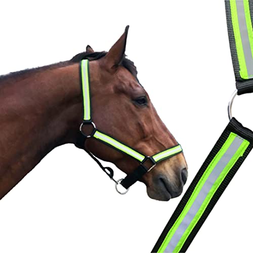 Halfter für Pferde Kaltblut stabiles Reflexhalfter für Sichtbarkeit & Sicherheit, Reflexartikel Pferd 2 Fach verstellbar (XFull (Kaltblut), Schwarz-Gelb) von Pferdelinis