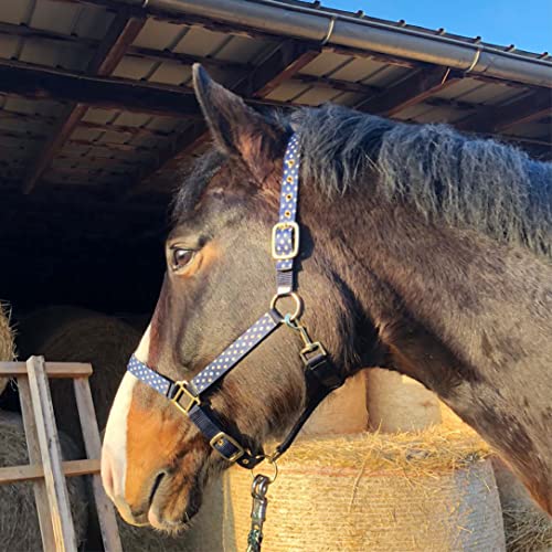 Halfter für Pferde Pferdehalfter stylisches Halfter blau, 2-Fach verstellbare Dornschnallen, Shetty, Pony, Cob, Warmblut (Warmblut (Full), Blaue Dreiecke) von Pferdelinis