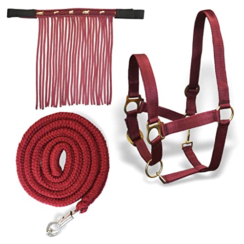 Halfter für Pferde mit Führstrick & Fliegenfransen Pferd, Halfter mit Strick - Halfter Pony Shetty Halfter Cob Full Kb (Kaltblut (X-Full), Bordeaux-Schwarz) von Pferdelinis