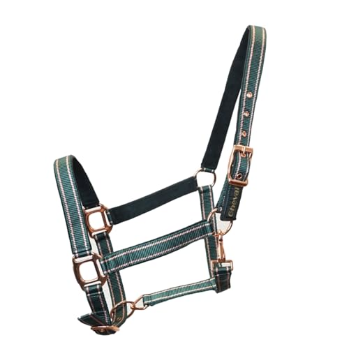 Halfter für Pferde mit Glitzer in Rosegold, Halfter Pferd in schwarz und pink, 2-Fach verstellbar (Grün Rosegold, Warmblut (Full)) von Pferdelinis