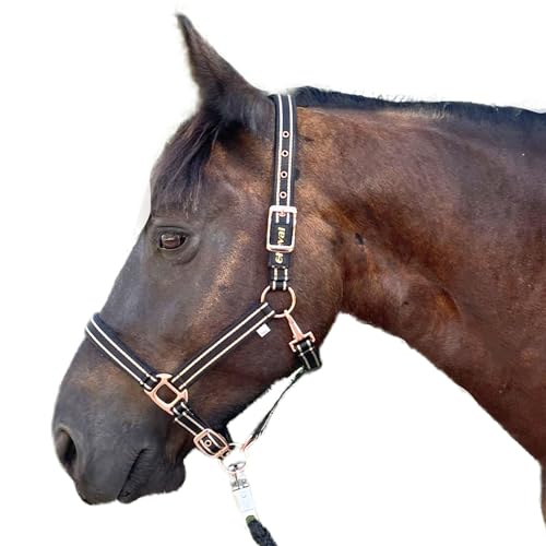 Halfter für Pferde mit Glitzer in Rosegold, Halfter Pferd in schwarz und pink, 2-Fach verstellbar (Schwarz Rosegold, Vollblut (Cob)) von Pferdelinis