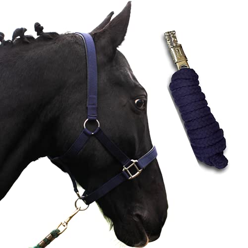 Halfter für Pferde mit Strick | Führstrick Pferd Halfter | Halfter Pony, Vollblut, Full, X-Full mit Strick (Blau, Cob (Vollblut)) von Pferdelinis