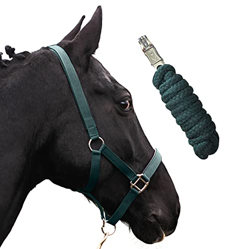 Halfter für Pferde mit Strick | Führstrick Pferd Halfter | Halfter Pony, Vollblut, Full, X-Full mit Strick (Grün, Kaltblut) von Pferdelinis
