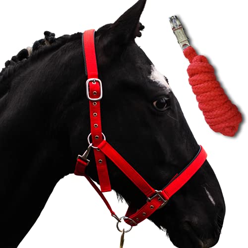 Halfter für Pferde mit Strick | Führstrick Pferd Halfter | Halfter Pony, Vollblut, Full, X-Full mit Strick (Rot, Pony) von Pferdelinis