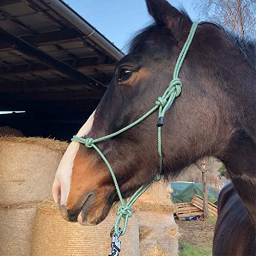 Knotenhalfter für Bodenarbeit Pferd - Knotenhalfter Cob optimal für Freiarbeit, Bodenarbeit, Führ- oder Verladetraining (Pony, Grün-Weiss) von Pferdelinis