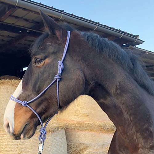 Knotenhalfter für Bodenarbeit Pferd - Knotenhalfter Cob optimal für Freiarbeit, Bodenarbeit, Führ- oder Verladetraining (Pony, Royalblau-Weiss) von Pferdelinis