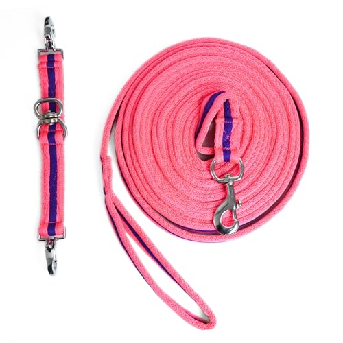Longe mit Longierbrille Pferde Set, farblich perfekt abgestimmt, Pferde Zubehör für Longieren, Bodenarbeit (Pink Lila) von Pferdelinis