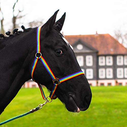 Pferdelinis Halfter Fohlen Halfter für Mini Shetty Halfter für Holzpferd - Fohlenhalfter 2-Fach verstellbar an Kinn- & Genickstück (Bunt, Fohlen) von Pferdelinis