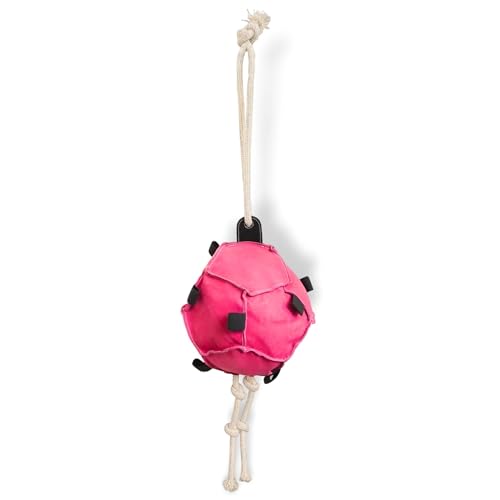 Pferdespielzeug für Pferde Spielball Pferd perfekte Pferde Beschäftigung Futterball für Möhren und Leckerlis (Pink, Einfarbig) von Pferdelinis