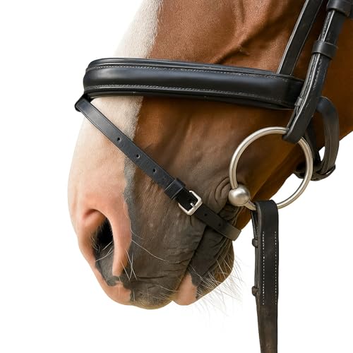 Sperrriemen Pferd, Ersatz-Sperrriemen für Trense Pferd aus schwarzem Leder – Größen Pony, Cob, Warmblut, Kaltblut mit Edelstahlschnalle (Schwarz, Pony) von Pferdelinis