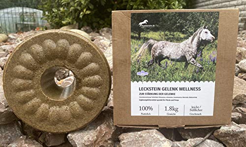 Pferdelutscher Leckstein Chiasamen/Gelenk Wellness - speziell für Pferde und Ponys 1,8 kg(1kg/14,39€) von Pferdelutscher.de