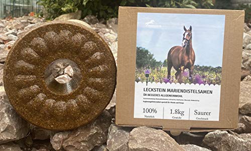 Pferdelutscher Leckstein Mariendistelsamen - speziell für Pferde und Ponys - 1,8 kg (1kg/14,39€) von Pferdelutscher.de