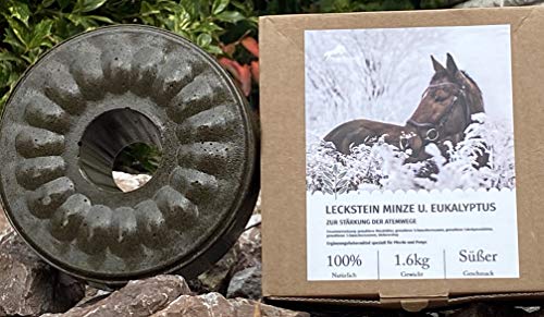 Pferdelutscher Leckstein Minze und Eukalyptus -speziell für Pferde und Ponys - 1,6 kg (1kg/16,19€) von Pferdelutscher.de
