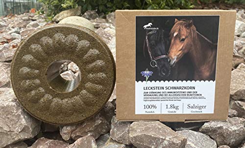 Pferdelutscher Leckstein Schwarzkorn - speziell für Pferde und Ponys - 1,8kg (1kg/14,39€) von Pferdelutscher.de
