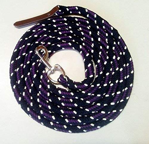 Pferdeseile_DE Bodenleine/Arbeitsseil schwarz-BlackBerry-Natur 4,00 mtr mit Karabiner und Lederklatsche von Pferdeseile_DE