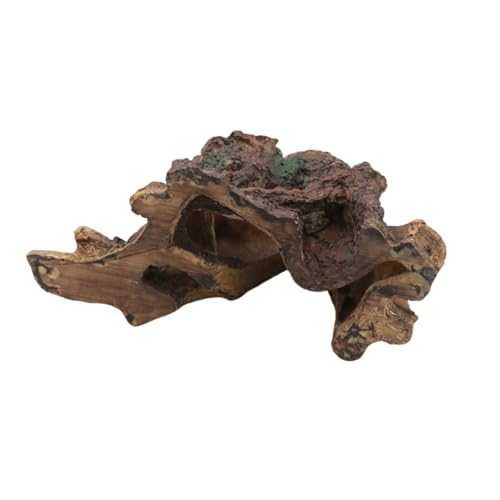 Pffiocix Aquarium-Dekoration, Harze, künstliche Pflanze, natürliche Schönheiten, Ornamente für Aquarien und Pflanzen Pffiocix Aquarium-Dekoration, Harze, künstliche Pflanze, natürliche Schönheiten, Ornamente für Aquarien und Pflanzen von Pffiocix