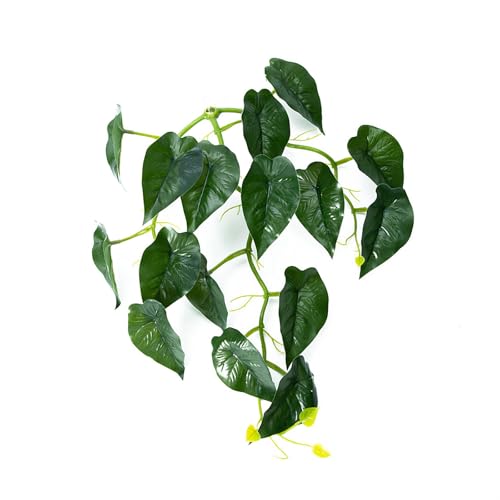 Pffiocix Fischpflanzen-Saugnapf, Laubbeet, Unterwasser-Fischblatt-Ruheunterlage, Laichboden für Fischgarnelen Pffiocix Fischpflanzen-Saugnapf, Laubbeet, Unterwasser-Fischblatt-Ruheunterlage, Laichboden für Fischgarnelen von Pffiocix