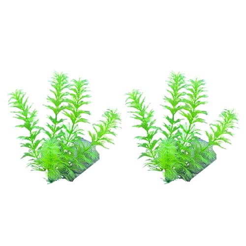 Pffiocix Künstliche Pflanze für Aquarien, Terrarien, Garnelen, Gras, Ornamente von Pffiocix