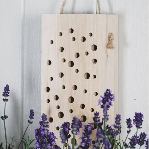 Pflanzen Kölle Kleines Insektenhotel, Natur, Erle, 10 x 6 x H 22 cm Pflanzen Kölle Kleines Insektenhotel, Natur, Erle, 10 x 6 x H 22 cm von Pflanzen Kölle