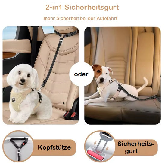 2-in-1 Sicherungsleine fürs Auto - Autosicherung für den Hund - Anschallgurt 2-in-1 Sicherungsleine fürs Auto - Autosicherung für den Hund - Anschallgurt von Pfoten-Boutique