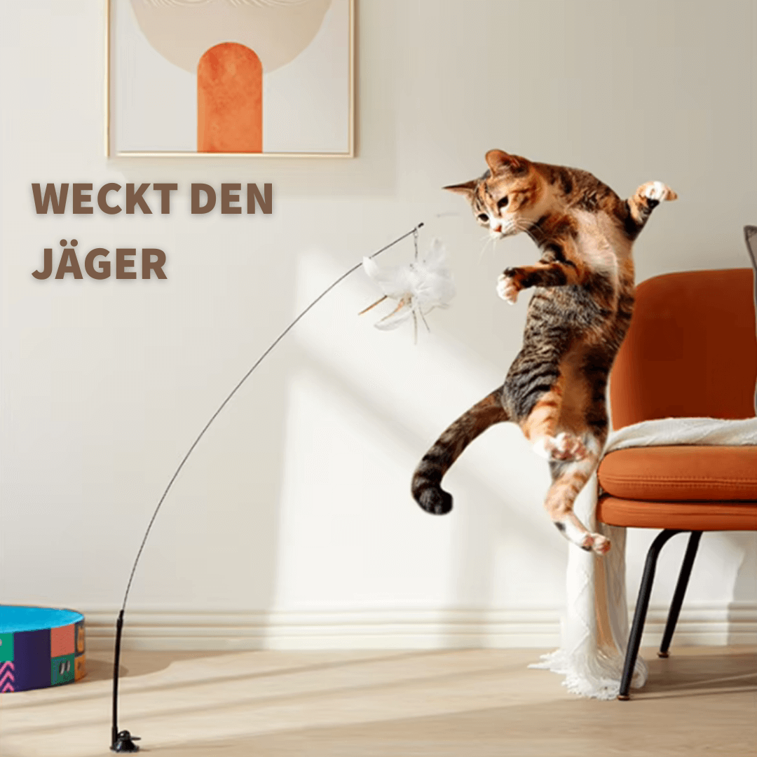 KATZENABENTEUER - Interaktives Katzenspielzeug mit Saugnapf von Pfoten-Boutique