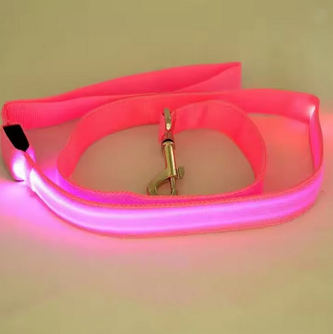 LED Hundeleine Wiederaufladbar 120 cm - Leuchtende Anti-Verlust-Leine Für Sichere Nächte – colour: pink von Pfoten-Boutique