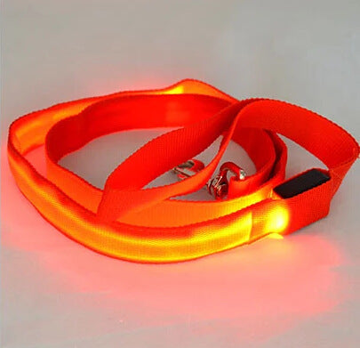 LED Hundeleine Wiederaufladbar 120 cm - Leuchtende Anti-Verlust-Leine Für Sichere Nächte – orange LED Hundeleine Wiederaufladbar 120 cm - Leuchtende Anti-Verlust-Leine Für Sichere Nächte – orange von Pfoten-Boutique