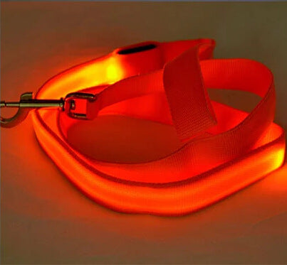 LED Hundeleine Wiederaufladbar 120 cm - Leuchtende Anti-Verlust-Leine Für Sichere Nächte – rot von Pfoten-Boutique