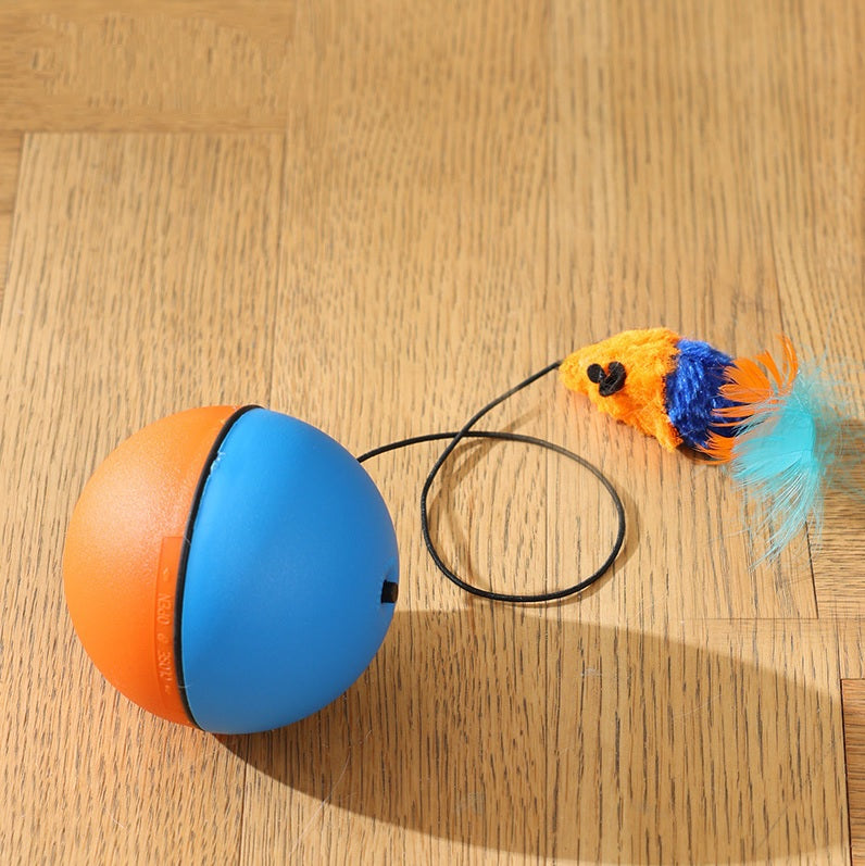 MAUSBALL - interaktives Katzenspielzeug, Ball für Katzen, Selbstbeschäftigung & Bewegung – Color: blau-orange von Pfoten-Boutique