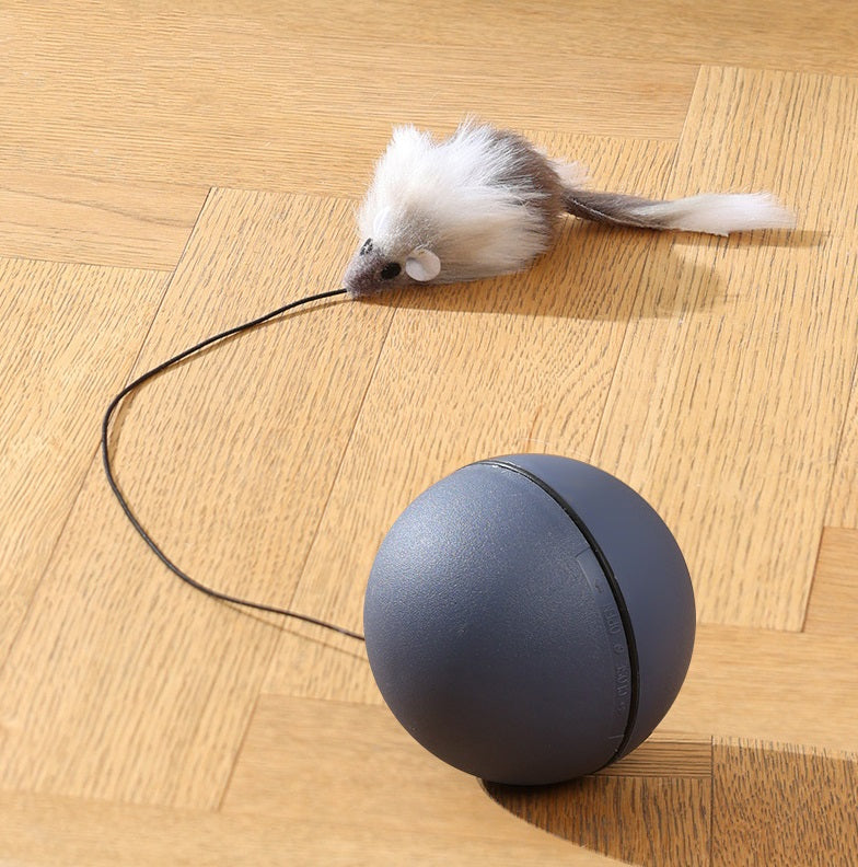 MAUSBALL - interaktives Katzenspielzeug, Ball für Katzen, Selbstbeschäftigung & Bewegung – grau von Pfoten-Boutique