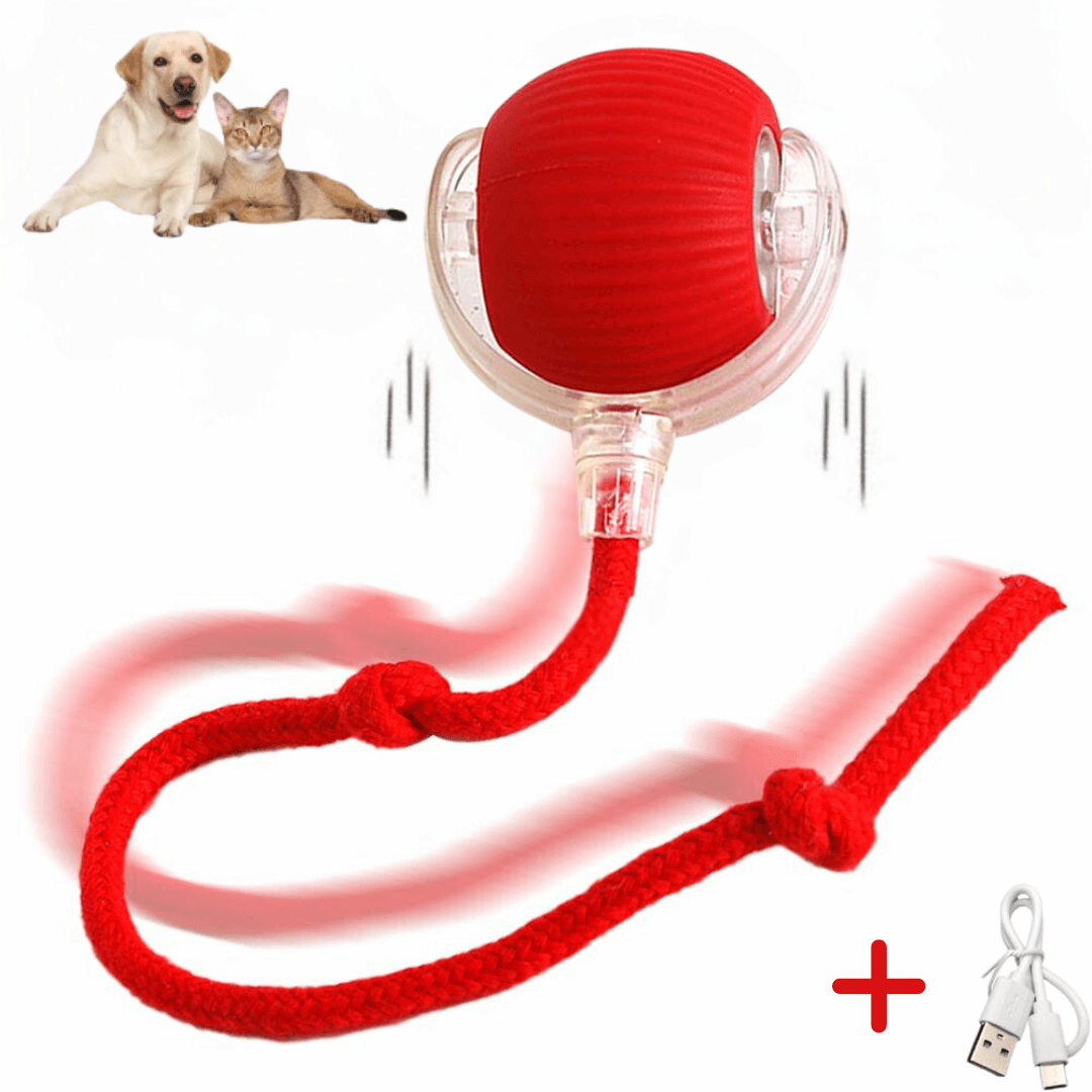 PFOTEN FIT - 3 Modi, Intelligente Sensorik, Ideal Für Spaß Mit Deinem Spielball Für Die Katze – Wähle Deine Farbe: Rot von Pfoten-Boutique