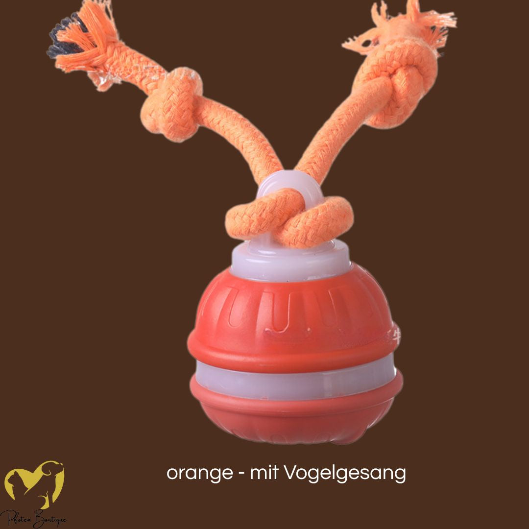STRICKBALL gegen Langeweile, Hundespielzeug - intelligenter, rollender Ball mit Strick – orange - mit Vogelgesang STRICKBALL gegen Langeweile, Hundespielzeug - intelligenter, rollender Ball mit Strick – orange - mit Vogelgesang von Pfoten-Boutique