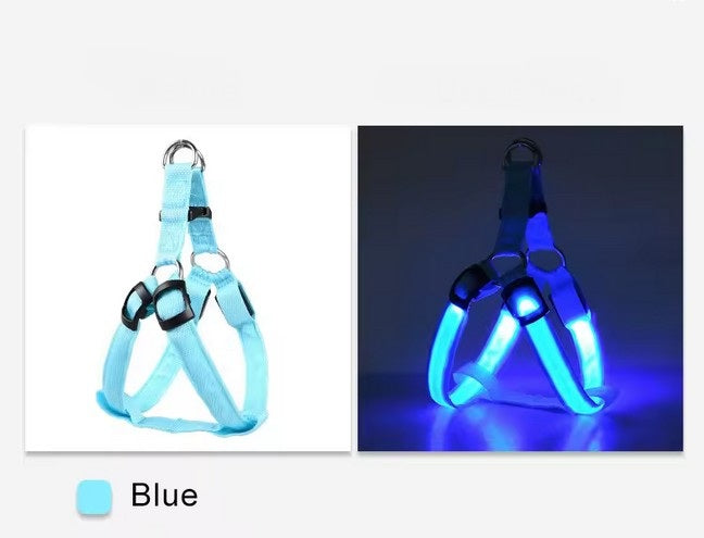 USB wiederaufladbares LED Hundegeschirr - leuchtendes Hundegeschirr – blau / M von Pfoten-Boutique
