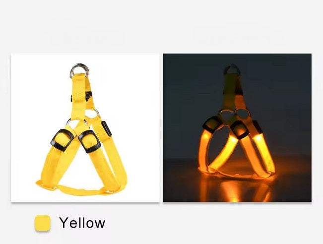 USB wiederaufladbares LED Hundegeschirr - leuchtendes Hundegeschirr – gelb / L von Pfoten-Boutique
