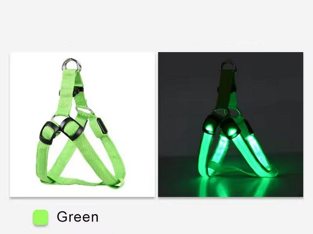 USB wiederaufladbares LED Hundegeschirr - leuchtendes Hundegeschirr – grün / S USB wiederaufladbares LED Hundegeschirr - leuchtendes Hundegeschirr – grün / S von Pfoten-Boutique