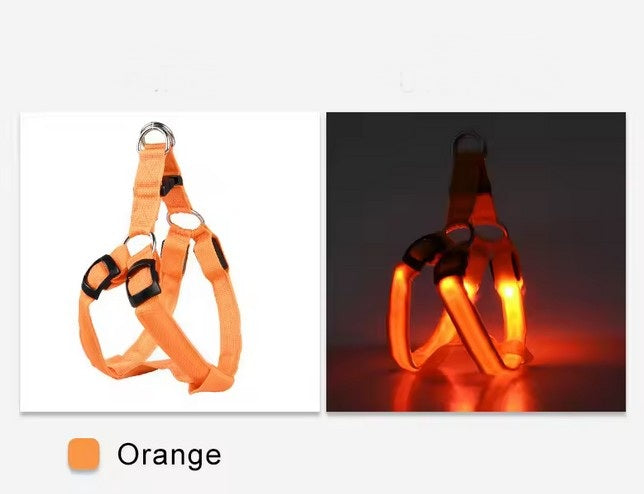 USB wiederaufladbares LED Hundegeschirr - leuchtendes Hundegeschirr – orange / S von Pfoten-Boutique