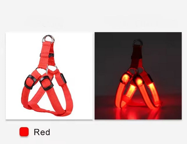 USB wiederaufladbares LED Hundegeschirr - leuchtendes Hundegeschirr – rot / L von Pfoten-Boutique