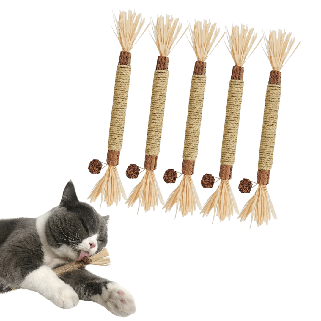 ZAHNLIEBE - Die Katzen Zahnpflege für gesunde Zähne – 5er-Set von Pfoten-Boutique