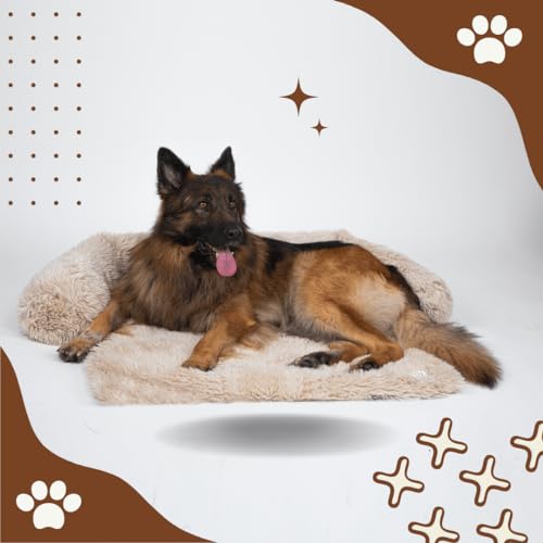 Pfoten&Nasen™Intelligente Hundebett Sofaschutz (L-105x95cm, Beige) von Pfoten&Nasen
